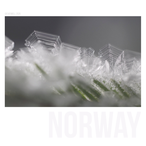 Closer look at those same ice crystal and the detailed filaments that form them.