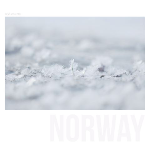 Ice Crystals growing up from the ground.