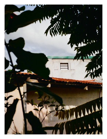 A building framed by dark, silhouetted tropical foliage in the foreground. Through the leaves, a structure is visible featuring a rusty, corrugated metal roof and a beige wall dappled with leaf shadows. Rising behind this lower section is a white wall with a small, square louvered vent and a green trim along the top edge, set against a cloudy sky. - Google Gemini 3 Pro Preview