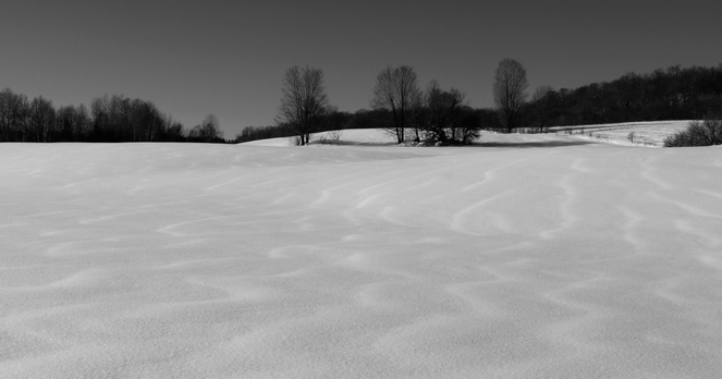 A black and white photograph of a snow-covered field on a hillside, with a forest edge and a few isolated trees in the background. The strong sunlight creates a striking contrast between the dark trees and the white snow. The snow is rippled by the wind, and serpentine patterns appear to flow down the hillside to the bottom of the photograph.

Photographie noir et blanc d’un champ couvert de neige à flanc de colline, avec derrière une lisière de forêt et quelques arbres isolés. Le soleil très fort crée un contraste entre les arbres foncés et la neige blanche. La neige est ondulée sous l’effet du vent et des sortes de serpentins semblent venir du haut de la colline et descendre jusque dans le bas de la photo. 