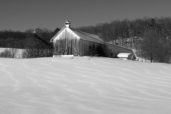 A black and white photograph of a snow-covered field on a hillside, with an old wooden barn in the center and a forest edge behind it. The strong sunlight creates a striking contrast between the dark trees and the white snow. The snow is rippled by the wind, and serpentine patterns appear to flow down the hillside to the bottom of the photograph.

Photographie noir et blanc d’un champ couvert de neige à flanc de colline, avec au centre une grange ancienne en bois et derrière une lisière de forêt. Le soleil très fort crée un contraste entre les arbres foncés et la neige blanche. La neige est ondulée sous l’effet du vent et des sortes de serpentins semblent venir du haut de la colline et descendre jusque dans le bas de la photo. 