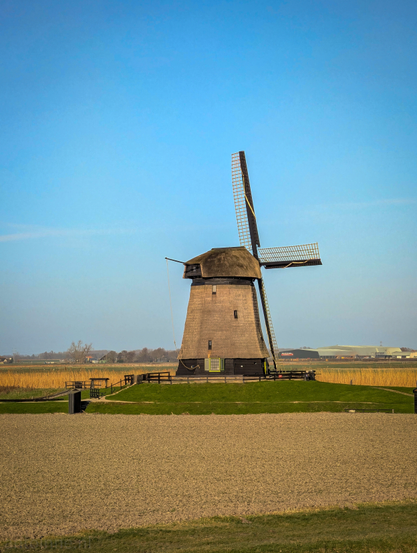 A classic Dutch windmill standing prominently in a flat, rural landscape under a clear blue sky. 

The color palette is dominated by the vibrant blue of the sky, which contrasts sharply with the earthy browns of the field and the muted tones of the thatched roof.