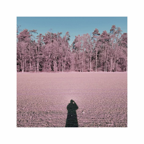 another square image of some stacked layers. another minimal composition. the ground layer consists of a reddish field and a forest in the background with roughly the same tone. the sky layer above is turquoise blue. the sun is in my back and a long shadow is been casted on the uniform ground layer in the dead center of the image