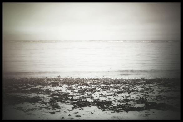 A dreary, faded, monochrome view looking straight out across a seaweed-strewn beach and the cold, uninviting waters of the Pacific Ocean on a foggy day. There are no people in this picture... just sand and water and nothingness for 6000 miles.