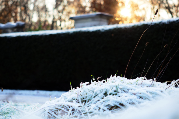 Der Fokus liegt auf einem überfrorenem Grasbüschel auf weißen Gras im Vordergrund. Dahinter eine dunkle Hecke mit Schneedecke, ein großer Grabstein dahinter, von dem nur ein Teil zu sehen ist. Sonnenlicht fällt durch die unbelaubten Äste von Bäumen, all das ist unscharf.

The focus is on a frost-covered tuft of grass on white grass in the foreground. Behind it is a dark hedge covered in snow, with a large gravestone behind it, only part of which is visible. Sunlight falls through the leafless branches of trees, all of which are out of focus.