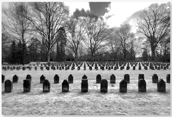 Hunderte von Grabsteinen in vielen Reihen auf einem Friedhof. Dahinter unbelaubte Bäume vor einem bewölktem Himmel. Die Aufnahme ist in schwarz-weiß im Infrarotmodus der Kamera aufgenommen.

Hundreds of gravestones in many rows in a cemetery. Behind them are leafless trees against a cloudy sky. The photograph was taken in black and white using the camera's infrared mode.