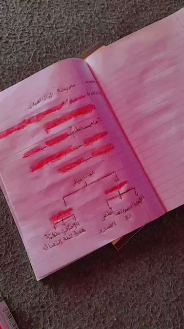 Naeema is filming Aylan's notebook, she is turning the pages to show Aylan's work.