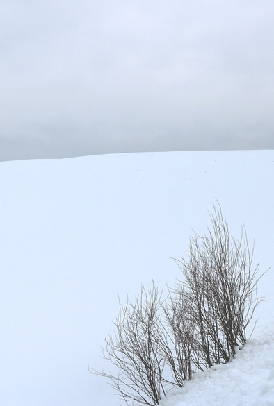 A minimalist photograph of a winter landscape, showing a few brown shrubs in the lower right corner, bordering a field completely covered in thick, smooth, white snow that extends behind and into the distance, reaching two-thirds of the way across the image. Above, in the upper third, the sky displays a gradient of gray, with some hints of green and pink.

Photographie minimaliste d'un paysage hivernal, montrant quelques arbustes bruns en bas à droite, en bordure d'un champ complètement recouvert d'une neige épaisse, lisse et blanche qui s'étend derrière et au loin jusqu'aux deux tiers de la photo. Au-dessus, dans le tiers supérieur, le ciel présente un dégradé de gris, avec quelques nuances de vert et de rose.