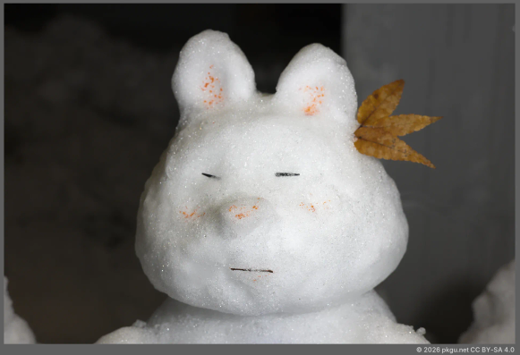 Snow fox, Seoul, Korea.