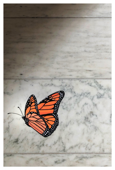 Cutout of an illustrated monarch butterfly, with its distinctive black, white, and orange wings, attached to the surface of a wall of marble blocks with streaked and swirling patterns. A light source out of frame to the right casts a triangle of shadow on the photo’s upper left corner.