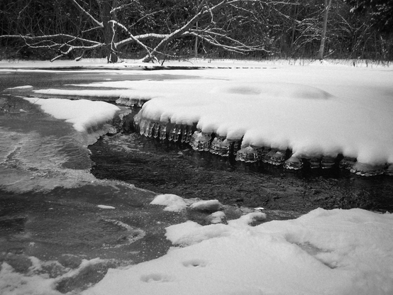 A small stream covered in layers of thick ice with only small sections of water showing is seen in this black and white image. Large trees are shown in the background.