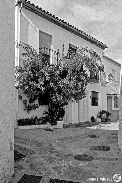A narrow street in Benadalid, featuring a charming house adorned with lush flowering Bougainvillea and a vintage street lamp. The scene is captured in a classic black and white style, highlighting the architectural details.