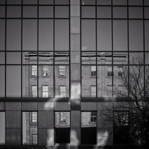The reflection of a building is seen in the large windows of another building across the street. A leafless tree can be seen to the right, this is a black and white image.