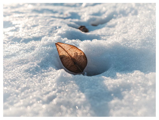 Verschneiter Weg mit Sonnenschein. 
Mittendrin ein verirrtes braunes Blatt, angelehnt an einer Verwehung.