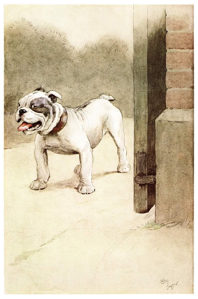 A bulldog keeps watch at the gate, waiting to greet his owners.
