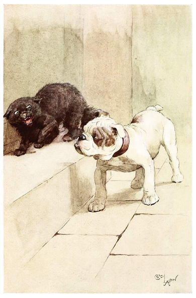 A bulldog casts a disdainful side look at a defensive cat crouching on a doorstep.