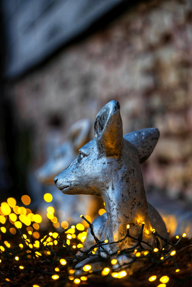 Im Vordergrund des Fotos, das aus der Froschperspektive aufgenommen wurde, befindet sich eine kleine, silberfarbene Reh- oder Kitzstatue, die nach links blickt. Um und vor der Statue schlängelt sich eine Lichterkette mit warmweißen, leuchtenden LED-Lichtern, die für eine festliche, weiche Atmosphäre sorgen. Der Fokus liegt scharf auf der vorderen Statue und den Lichtern. Im unscharfen Hintergrund ist eine zweite, ähnliche, aber weniger detaillierte Statue zu erkennen. Der Hintergrund wird durch eine unscharfe, strukturierte Wand in Brauntönen und oben links durch dunklere, unscharfe Bereiche vervollständigt. Die Beleuchtung ist gedämpft, wobei die Lichterkette als Hauptlichtquelle dient und das silberne Material der Statuen beleuchtet.
