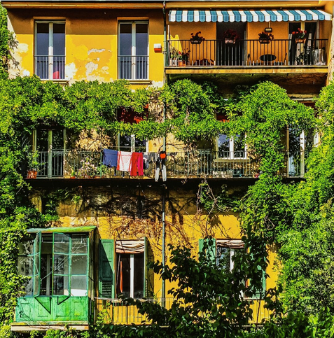 A photo of three storeys of a yellow building in Bologna with balconies. It is heavily overgrown with green foliage which wraps around the the first two floors and the sides. Clothes are hanging on a line on from the middle balcony.