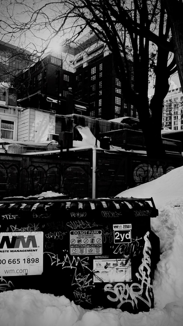 A layered image of the city. In the foreground is a large garbage bin covered in signs and graffiti, surrounded in snow, then a fence with graffiti, then a leafless tree, then a building covered in icicles, then a high-rise building, with another behind it, then a bit of sky with the sun nearly eclipsed by the top of the tallest buildings. Black-and-white photo,