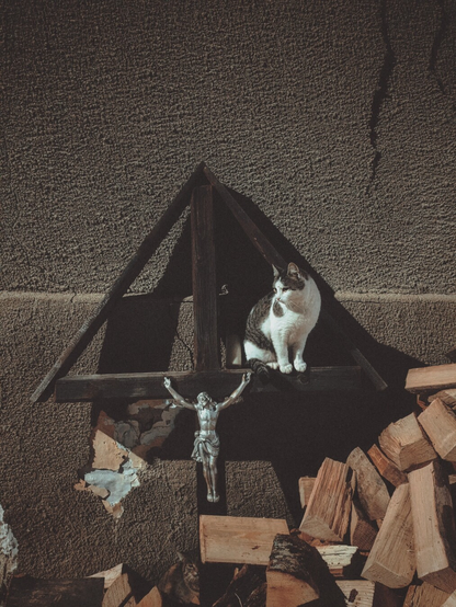 A wooden cross with a silver jesus figure and a white cat sitting next to it is leaning on an old buildings wall.