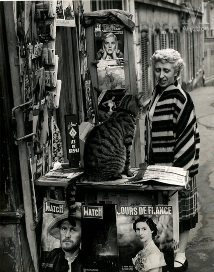 une passante s’arrête dans la rue devant un kiosque de marchand de journaux tenu par un chat sur le trottoir, mettant en avant les publications « Paris-Match » et « Jours de France »