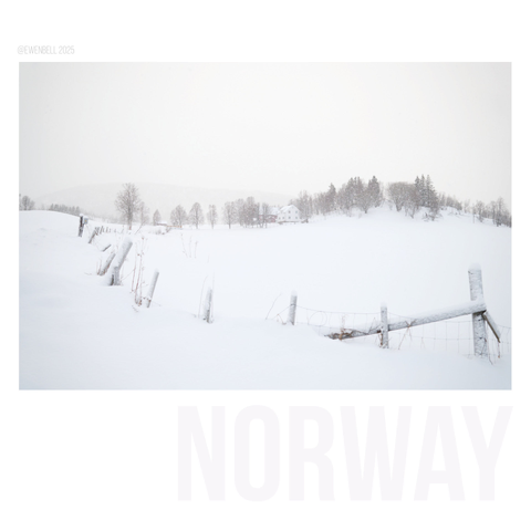Farmhouse amongst the trees in the distance, with a snow covered field and fence posts popping up in the foreground.