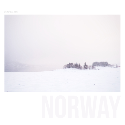 Small island with ice-packs in the foreground and snow obscuring the fjord behind it.