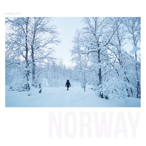 A walk in the forest