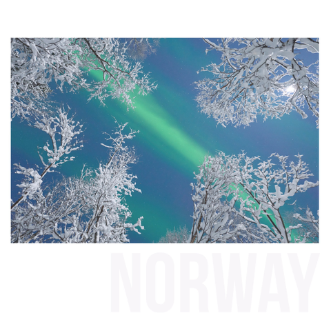 Shooting up through the birch trees, into the moon and capturing a band of aurora crossing overhead.