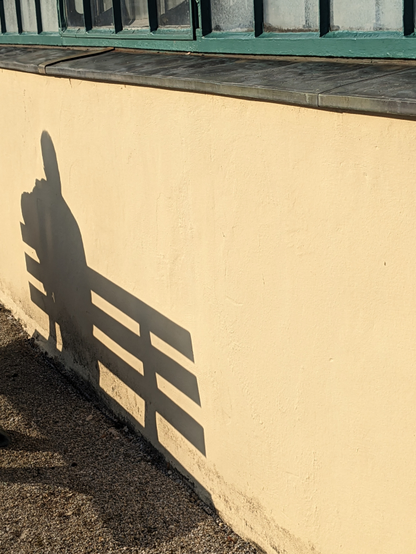 An einen hellgelb verputzten Gebäudesockel unter einer Fensterreihe mit grün gestrichenen Rahmen wirft die frühe Nachmittagssonne den präzisen Schatten einer Bank und des Menschen darauf. Die Bank ist nicht im Bild, der Schatten zeigt aber, dass die Rücklehne der Bank aus einzelnen Planken besteht.