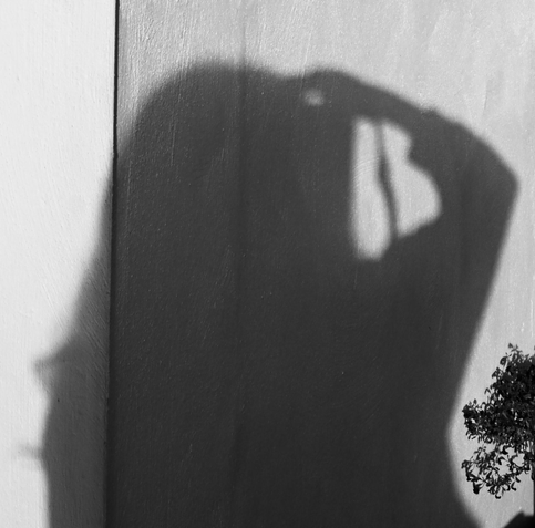 Schatten der Fotografin in Aktion an weißer Wand, in der rechten unteren Ecke Teile einer Pflanze.