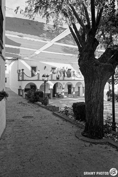 A quaint village square featuring the town hall building with balconies and flags, surrounded by potted plants and a large tree. Light filters through the branches and overhead canopy, casting a serene atmosphere in black and white.