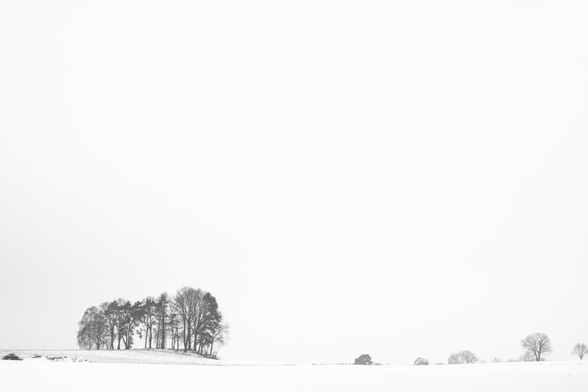 Schneebedeckte Landschaft mit einer Gruppe kahler Bäume links und einzelnen Bäumen rechts auf weiter Fläche