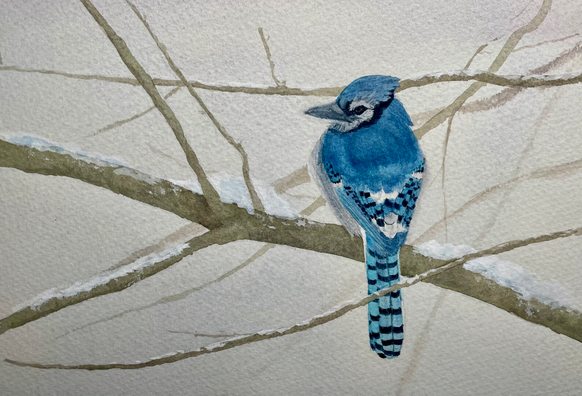 A single bluejay perches on a bare, snow-dusted branch, its body tucked in and head turned slightly as if listening, surrounded by a quiet tangle of winter twigs.