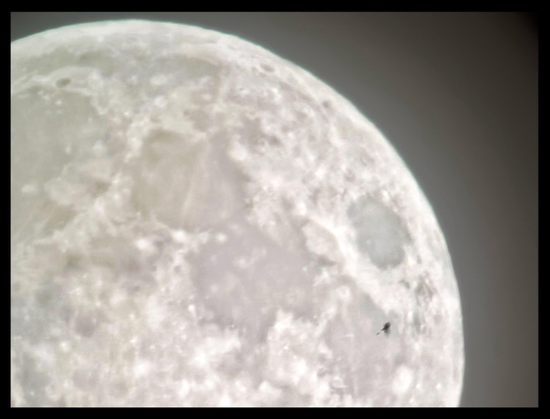 A closeup of the full moon, with crater details visible, its western and southern areas cropped out of frame. Near the eastern curve is a small black speck, which stands out against the brighter lunar surface.

Shot on an iPhone 15 attached to a Celestron 130mm reflector telescope.