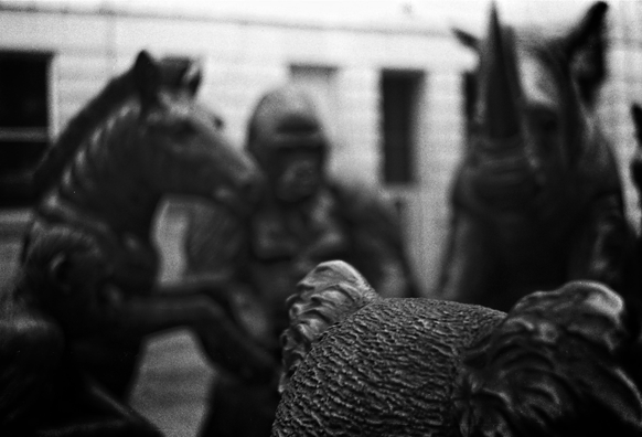 A close up of the back of a koala's head, done in bronze, in the distance and out of focus is (front left to right) a Zebra, a Gorilla and a Rhino.  These and other animals are seated at a table on which (although not shown) are plates of food.  There are two spare seats where you can come and enjoy the feast with the animals.  The sculpture is the work of the brilliant Gillie and Marc, two artists who passionately believe in making art for a better tomorrow.   They have art installaitons all around the world and the UK hosts 35 of their pieces.  Thoroughly recommend checking out their website - https://gillieandmarc.com/ oh and when you're next at Paddington station do pop by and say hello to them.  