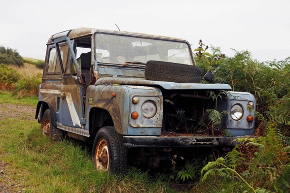 Ein alter Geländewagen steht am Wegesrand, Farne und Gräser wachsen bereits in den leeren Innen-und Motorraum. Die Farben sind gedeckt, der Himmel grau.

An old off-road vehicle stands at the side of the road, ferns and grasses already growing in the empty interior and engine compartment. The colours are muted, the sky grey.