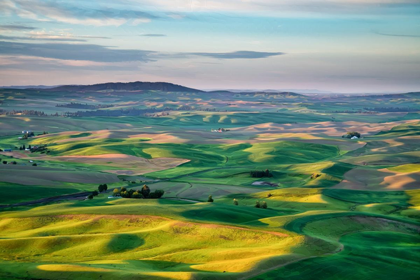 Early morning streams across Washington State’s Palouse area. 

The Palouse is noted for its idyllic setting, and this photograph totally leans into that. We’re standing on Steptoe Butte, which not only is the tallest place for mies upon miles, but also offers an excellent vantage point. Below and around us, extending for miles upon miles, are farm fields and gently rolling hills. This is the Palouse at is best!

The hills are as gentle as can be, but the low, rising sun casts plenty of shadows, scenting and defining each little hill. Most of the fields are deep, verdant green and the crop looks healthy. A few are fallow and bare, adding bits of light brown contrast to the scene. Scattered here and there are the buildings of a few farms. You can see some silos and, of course, a classic red barn. The buildings are small, further accenting the scale of the scene.

The sky has some low clouds and pink tones that fade to blue toward the top. In far, far distance we can see a more significant mountain, but it is low and doesn’t have the typical mountain peaks. 

All told, the scene projects peace and tranquility. 