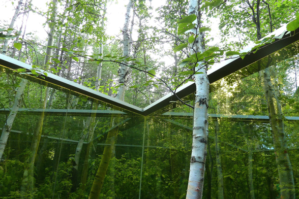 Photograph of an art installation in the middle of a white birch forest, consisting of an open, transparent green glass box surrounding several trees and revealing the remaining white trunks and green foliage through it. The photo is taken from inside the box, showing the rim and one corner.

Photographie d'une installation artistique au milieu d'une forêt de bouleaux blancs, constituée d'une boîte en verre transparent de couleur verte et ouverte, entourant quelques arbres et laissant voir le restant des troncs blancs et du feuillage vert à travers. La photo est prise de l'intérieur de la boîte, montrant la bordure et un coin de la boîte.