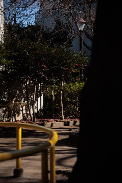 A sunlit park scene featuring a curved yellow railing, blossoming bushes, and a vintage streetlamp surrounded by trees.