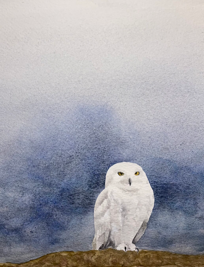 A snowy owl stands upright on a low rise, its rounded body still and alert, bright eyes fixed forward against a softly blurred winter sky.