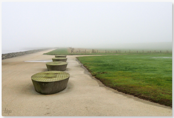 Vier runde Sitzflächen aus Beton auf einem Weg an der Elbe, links Steine und Wasser, rechts Grasfläche. Dichter Nebel lässt alles im Nichts versinken. 

Four round concrete seats on a path along the Elbe, stones and water on the left, grass on the right. Thick fog envelops everything in nothingness. 