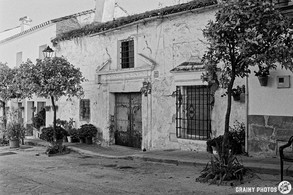 A charming, aging house with a textured exterior is flanked by lush greenery and potted plants. The entrance features ornate wooden doors and decorative window grills, showcasing the beauty of traditional architecture in a quaint street setting.