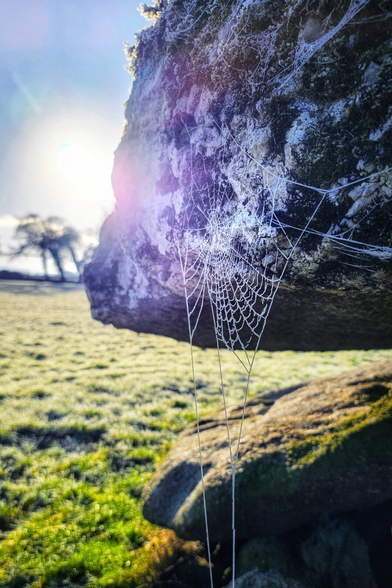 A close-up vertical shot taken at a low angle showing a frost-covered spiderweb spun against the rough, textured surface of a large, dark stone. The sun is rising on the left, creating a bright, hazy lens flare with soft purple hues that illuminates the delicate web. In the background, a green field covered in morning frost blurs into the distance, with the silhouette of a bare tree visible against a pale blue sky. The lighting is crisp and ethereal.