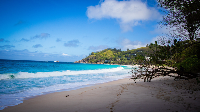 Strand, blauer Himmel und Wellen die sachte ans Ufer rollen.