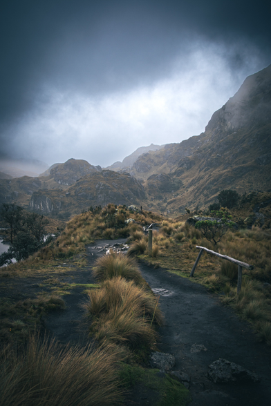 Ein verschlungener Pfad im Nebel im Gebirge.