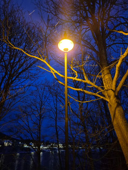 Looking up towards a lit streetlight, in front of some bare trees, a lake and a row of houses in the background. The trees are shining in a golden light from the orange lightbof the streetlight, while the sky is blue, although it's clouded and it's snowing