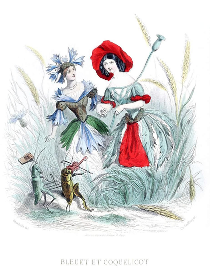 A cornflower and a poppy are depicted as women holding hands in a wheat field, while a grasshopper and a cicada (?) play music for them.