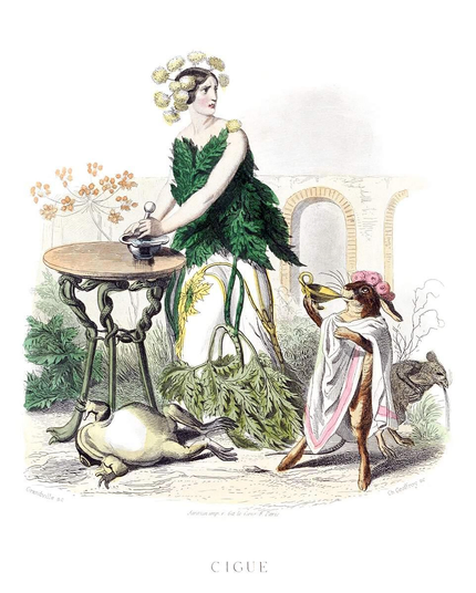 Hemlock is depicted as a woman with a tormented expression, working a pestle and mortar while a dead frog lies at her feet, a hare in a toga drinks from a cup, and a rat vomits in the background.