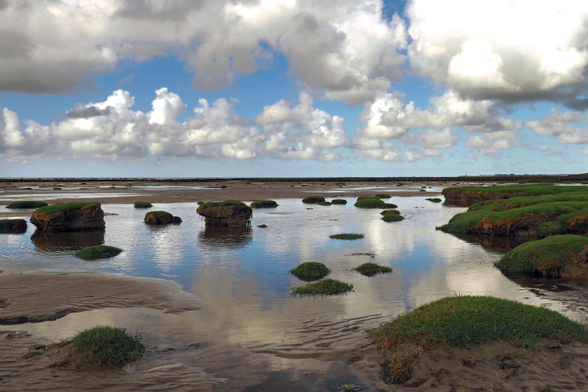 Blauer Himmel mit dicken weißgrauen Wolken über dem Wattenmeer. Kleine grün bewachsene Inselchen liegen bei Ebbe im flachen Wasser, der Himmel spiegelt sich darin. Rechts mehr bewachsenes Land, weit im Hintergrund Holzbuhnen, Häuser hinterm Deich (2022)

Blue sky with thick white-grey clouds over the Wadden Sea. Small green-covered islets lie in shallow water at low tide, reflecting the sky. More vegetated land to the right, wooden groynes far in the background, houses behind the dyke.